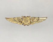 USCG Auxiliary gold pilot wings device (second version) - front